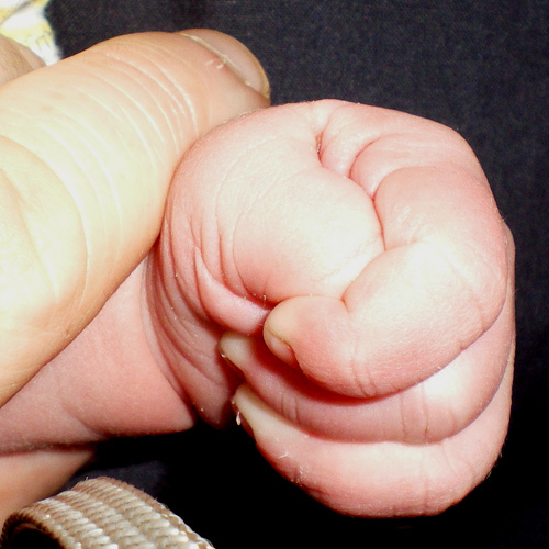 Fist